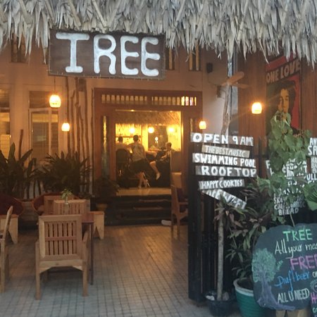 tree bar